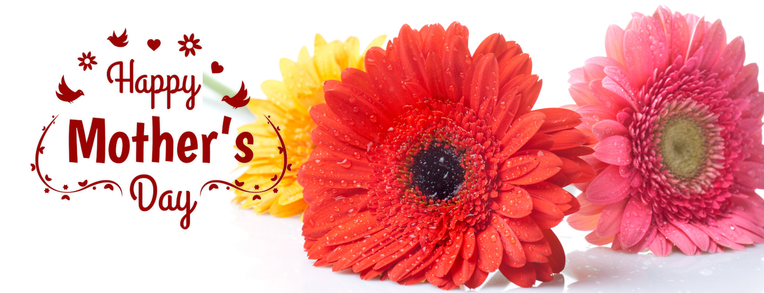 Featured special of the week at Sheena's Marketplace